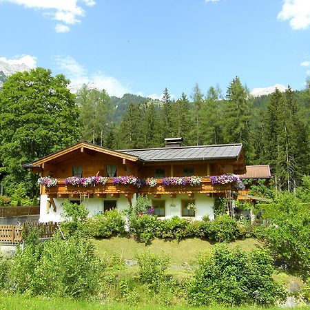 Haus Breithornblick Apartment Maria Alm am Steinernen Meer Ngoại thất bức ảnh